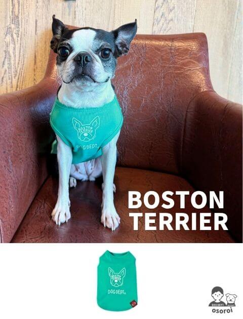 【DOG WEAR】MY DOG IS No.1 ボストンノースリーブ