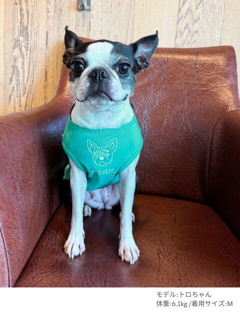 犬服 / ドッグウェア】MY DOG IS No.1 ボストンノースリーブ / DOG