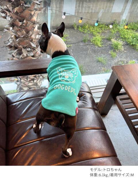 MY DOG IS No.1 ボストンノースリーブ犬服ブランドのドッグデプト/DOG DEPT
