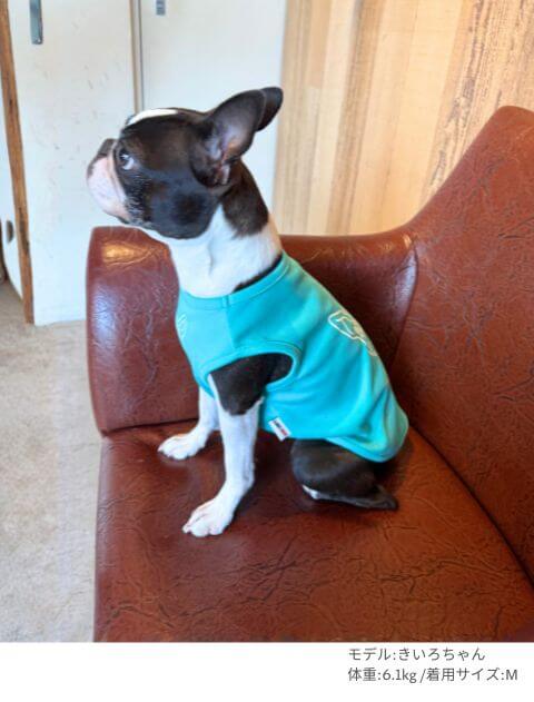 MY DOG IS No.1 ボストンノースリーブ犬服ブランドのドッグデプト/DOG DEPT
