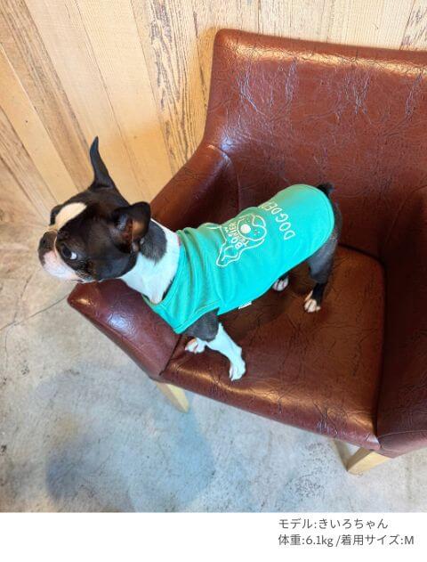 MY DOG IS No.1 ボストンノースリーブ犬服ブランドのドッグデプト/DOG DEPT