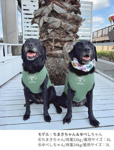 MY DOG IS No.1 ラブノースリーブ犬服ブランドのドッグデプト/DOG DEPT