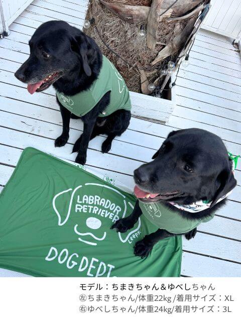 MY DOG IS No.1 ラブノースリーブ犬服ブランドのドッグデプト/DOG DEPT