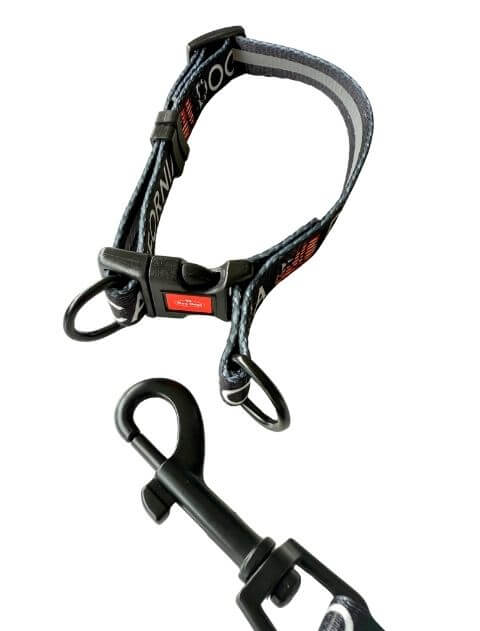 クラシックロゴリード&カラー ブランドのドッグデプト/DOG DEPT