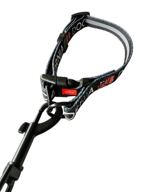 クラシックロゴリード&カラー ブランドのドッグデプト/DOG DEPT