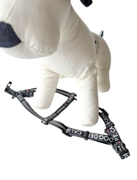 クラシックロゴリード＆ハーネス ブランドのドッグデプト/DOG DEPT