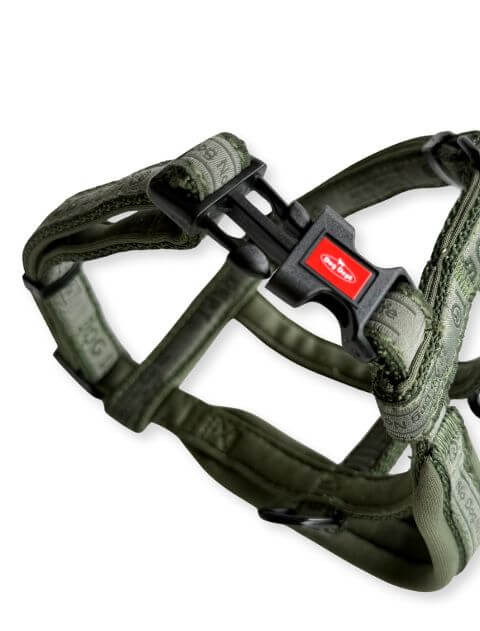 ジャガードロゴ　リード＆ショルダーハーネス ブランドのドッグデプト/DOG DEPT