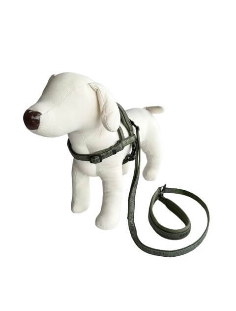 ジャガードロゴ　リード＆ショルダーハーネス ブランドのドッグデプト/DOG DEPT