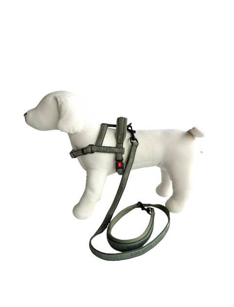 ジャガードロゴ　リード＆ショルダーハーネス ブランドのドッグデプト/DOG DEPT