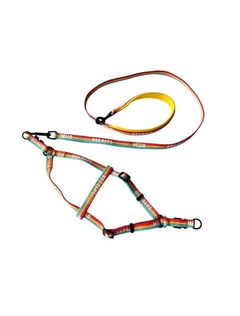 レインボーリード&ハーネスセット ブランドのドッグデプト/DOG DEPT