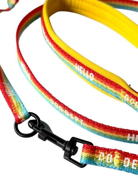 レインボーリード&ハーネスセット ブランドのドッグデプト/DOG DEPT