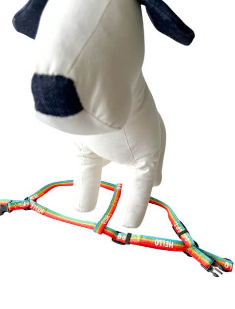 レインボーリード&ハーネスセット ブランドのドッグデプト/DOG DEPT