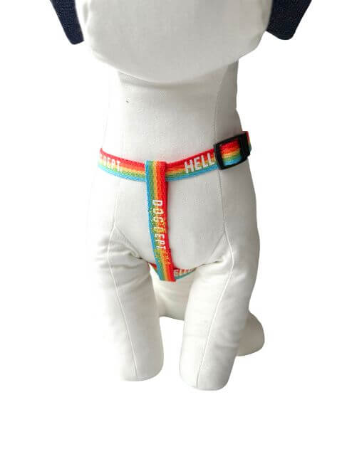 レインボーリード&ハーネスセット ブランドのドッグデプト/DOG DEPT