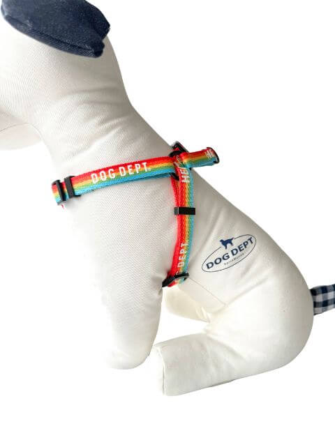 レインボーリード&ハーネスセット ブランドのドッグデプト/DOG DEPT