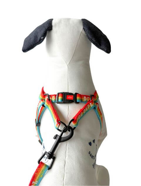 レインボーリード&ハーネスセット ブランドのドッグデプト/DOG DEPT