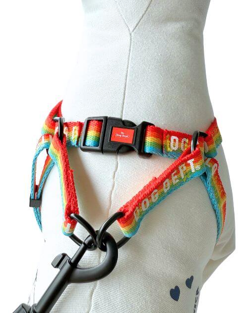 レインボーリード&ハーネスセット ブランドのドッグデプト/DOG DEPT