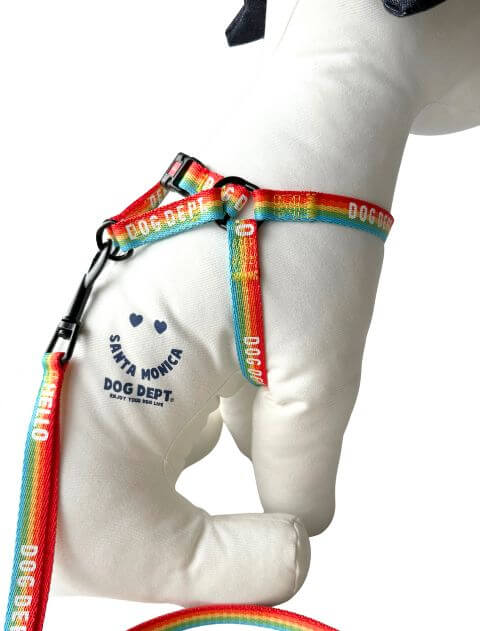 レインボーリード&ハーネスセット ブランドのドッグデプト/DOG DEPT