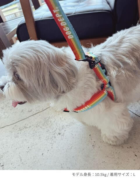 レインボーリード&ハーネスセット ブランドのドッグデプト/DOG DEPT