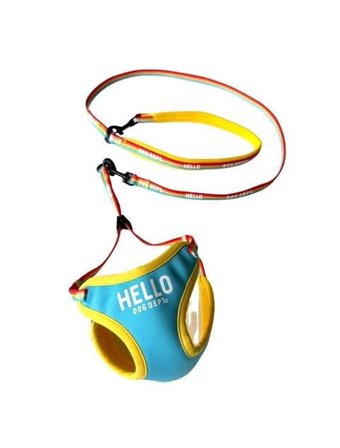 レインボーリード&ソフトハーネスセット ブランドのドッグデプト/DOG DEPT