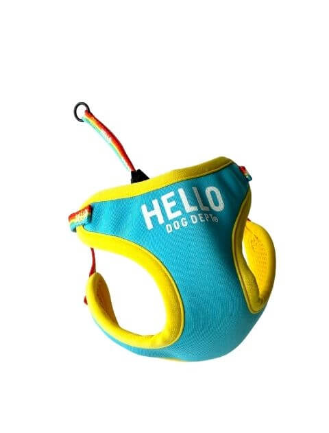 レインボーリード&ソフトハーネスセット ブランドのドッグデプト/DOG DEPT