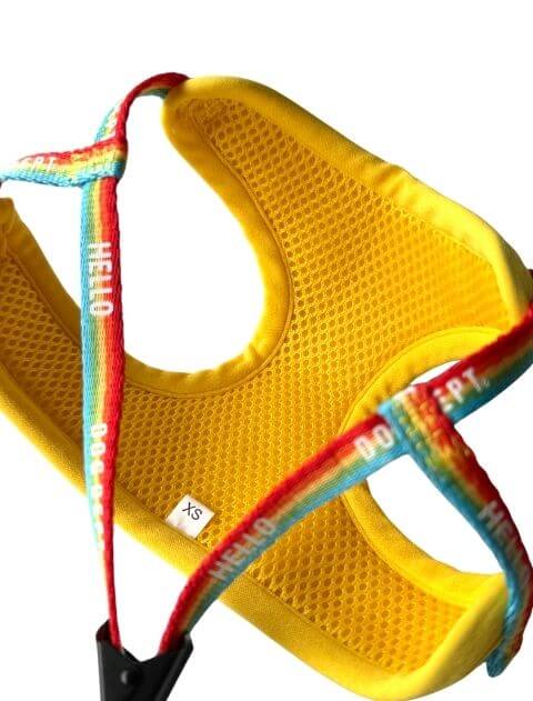 レインボーリード&ソフトハーネスセット ブランドのドッグデプト/DOG DEPT