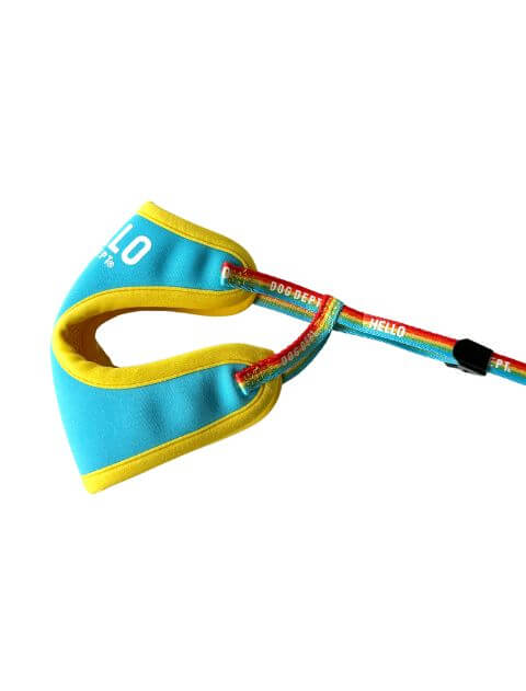 レインボーリード&ソフトハーネスセット ブランドのドッグデプト/DOG DEPT