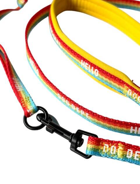 レインボーリード&ソフトハーネスセット ブランドのドッグデプト/DOG DEPT