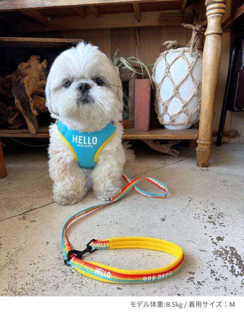 レインボーリード&ソフトハーネスセット ブランドのドッグデプト/DOG DEPT