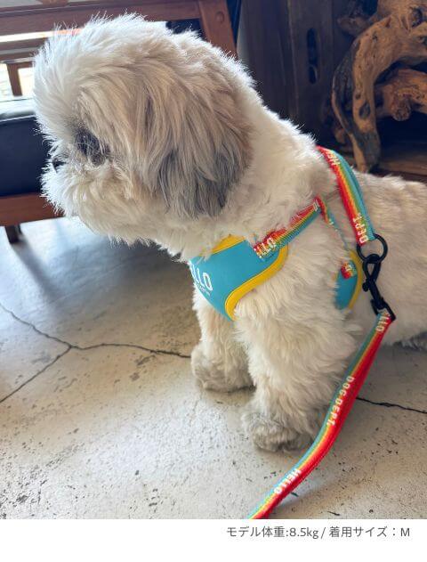 レインボーリード&ソフトハーネスセット ブランドのドッグデプト/DOG DEPT
