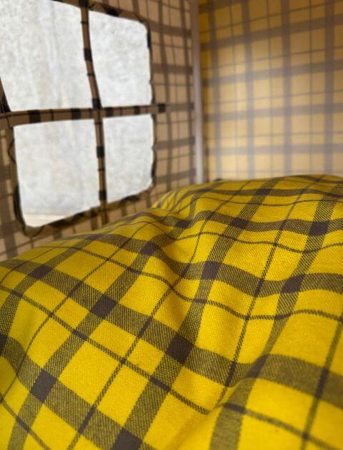 ドッグハウス ブランドのドッグデプト/DOG DEPT