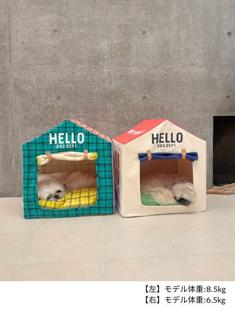 ドッグハウス ブランドのドッグデプト/DOG DEPT