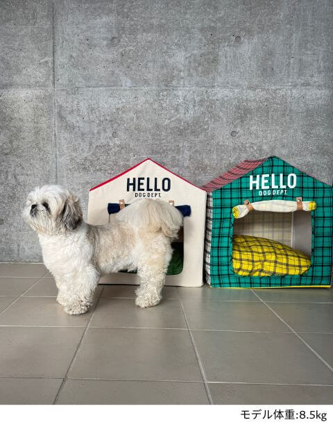 ドッグハウス ブランドのドッグデプト/DOG DEPT