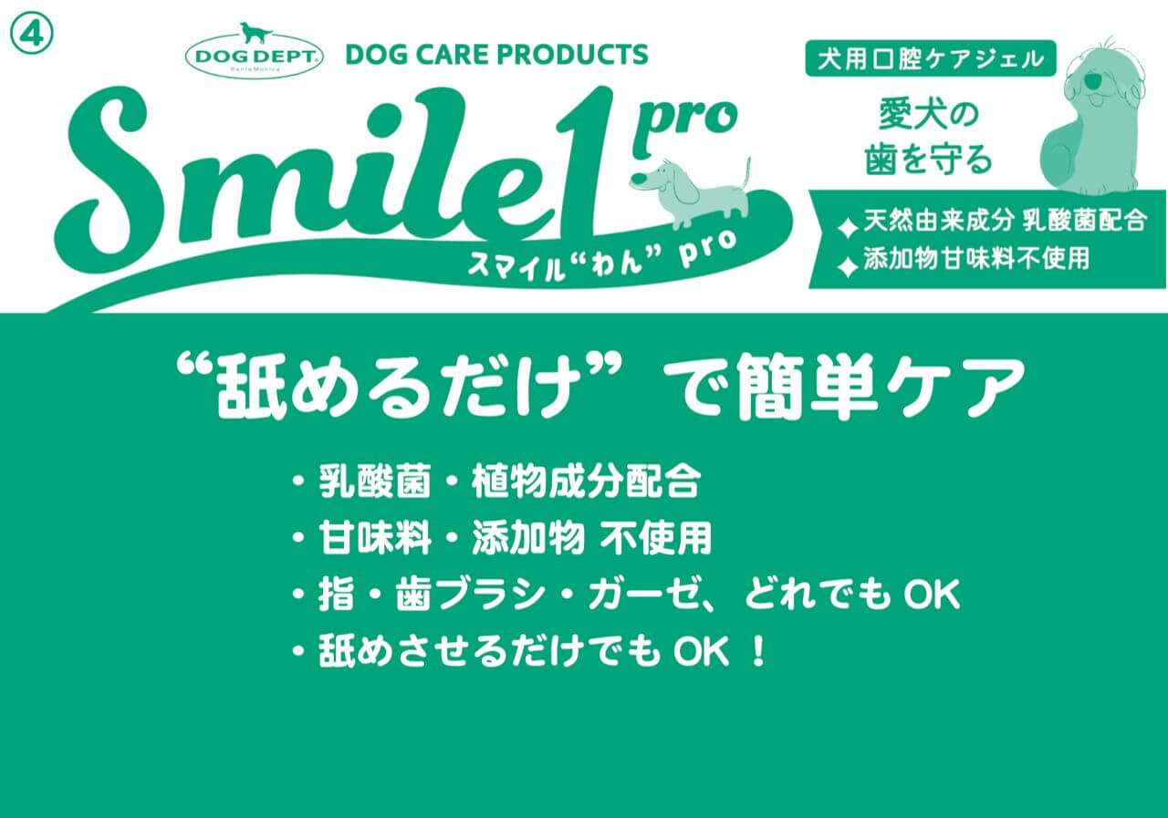 smile 1 pro 口腔ケアジェル  ブランドのドッグデプト/DOG DEPT