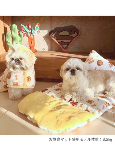 Biscuit Friends お昼寝クッションマット ブランドのドッグデプト/DOG DEPT