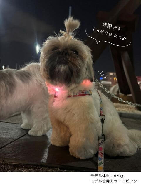 GLOW PUPカラー ブランドのドッグデプト/DOG DEPT