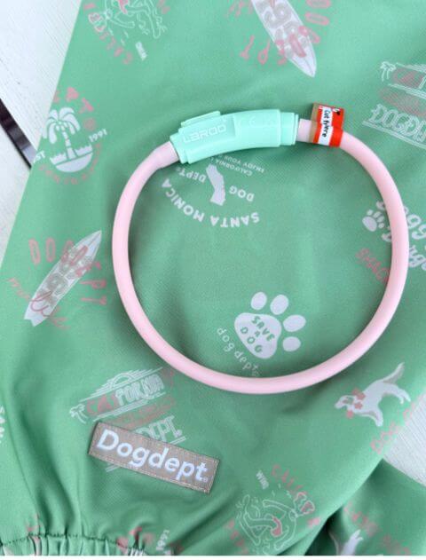 GLOW PUPカラー ブランドのドッグデプト/DOG DEPT