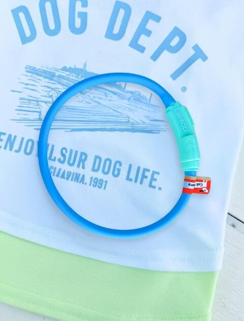 GLOW PUPカラー ブランドのドッグデプト/DOG DEPT