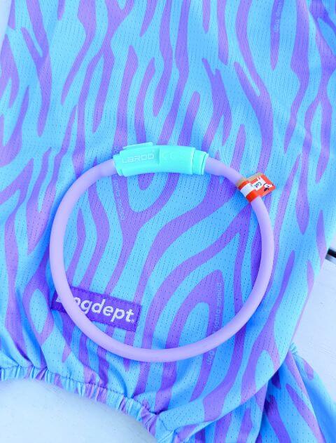 GLOW PUPカラー ブランドのドッグデプト/DOG DEPT