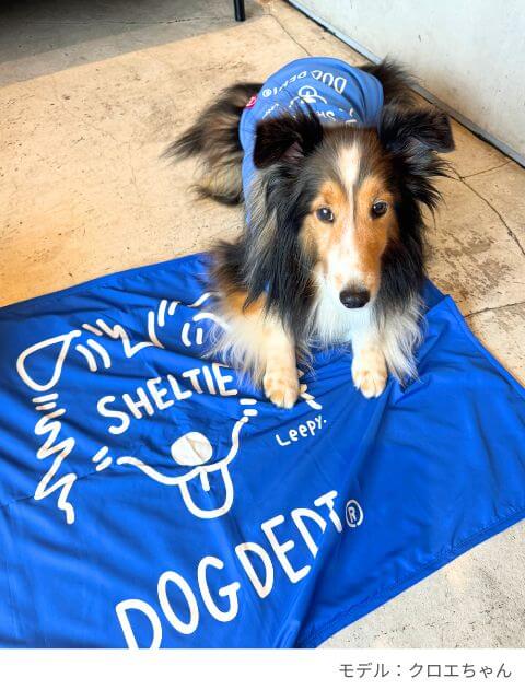 MY DOG is No.1　ブランケット  ブランドのドッグデプト/DOG DEPT