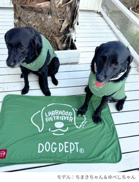 MY DOG is No.1　ブランケット  ブランドのドッグデプト/DOG DEPT