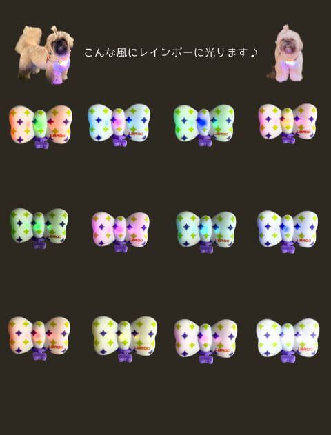 GLOW PUP (リボン） ブランドのドッグデプト/DOG DEPT