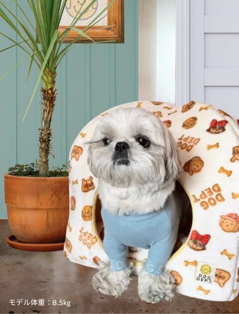 Biscuit Friends ドッグハウス ブランドのドッグデプト/DOG DEPT