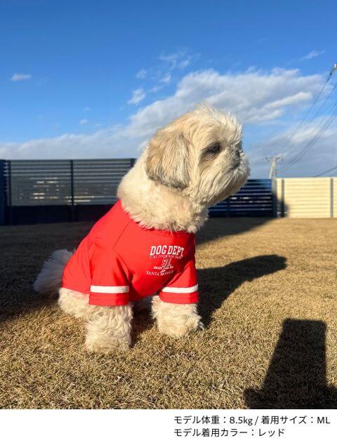 ロゴ&ナンバーTシャツ犬服ブランドのドッグデプト/DOG DEPT