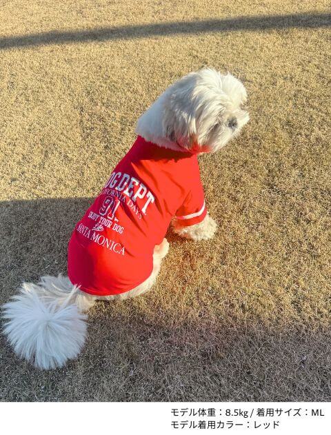 ロゴ&ナンバーTシャツ犬服ブランドのドッグデプト/DOG DEPT