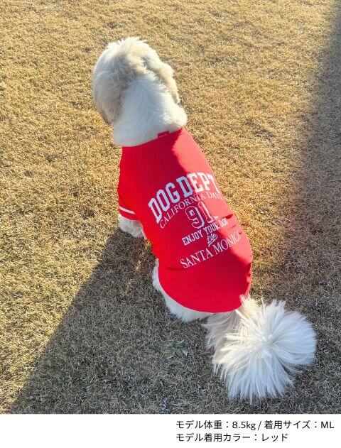 ロゴ&ナンバーTシャツ犬服ブランドのドッグデプト/DOG DEPT