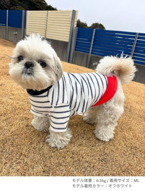 差し編みパイルレイヤーT犬服ブランドのドッグデプト/DOG DEPT