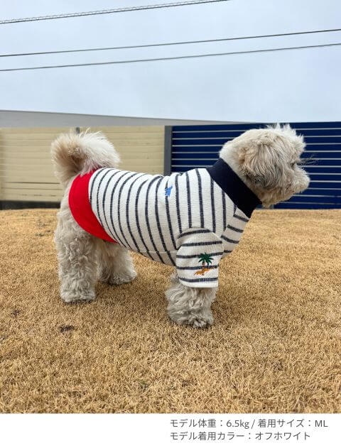 差し編みパイルレイヤーT犬服ブランドのドッグデプト/DOG DEPT