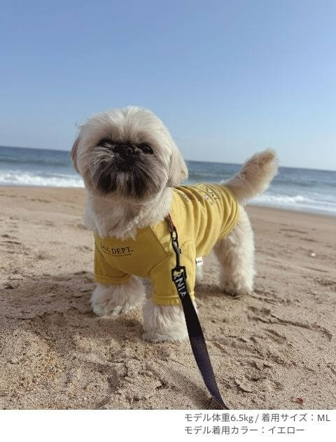 dog of alltime,forever friends T犬服ブランドのドッグデプト/DOG DEPT