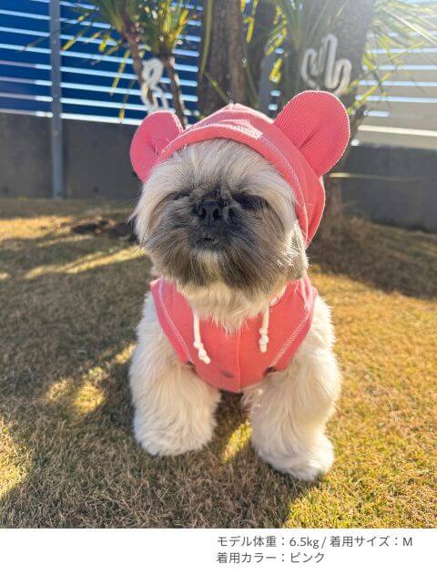 スウェットボタンパーカー犬服ブランドのドッグデプト/DOG DEPT