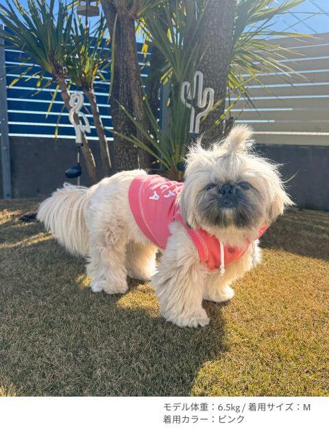 スウェットボタンパーカー犬服ブランドのドッグデプト/DOG DEPT